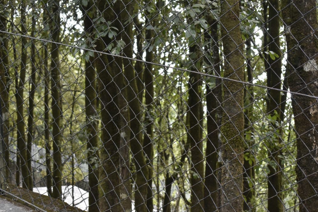 deepak-gupta-u5W53G6cmjU-unsplash