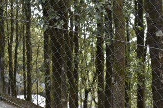 Leichen von vermisstem Paar im hessischen Wald gefunden