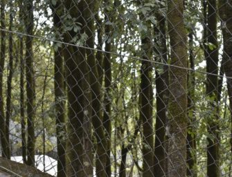 Leichen von vermisstem Paar im hessischen Wald gefunden