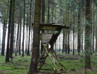 Hochsitz angezündet – Täter in der Eifel gefährdet Jäger und Wald