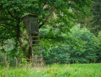 Hochsitze von Unbekannten zerstört: Wer will den Jägern schaden?