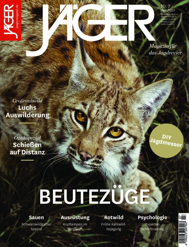 Titel