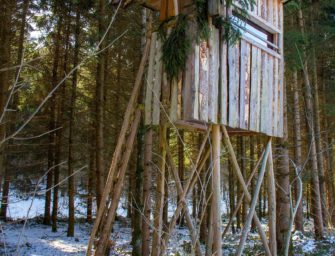 Jäger stürzt 6 Meter von Hochsitz: Schwere Verletzungen