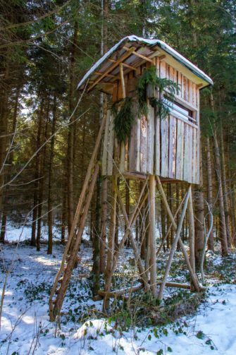 Jäger stürzt 6 Meter von Hochsitz: Schwere Verletzungen