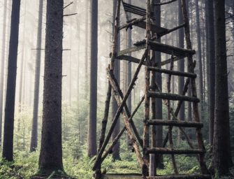 Jagdunfall in Tschechien: Jäger schießt Schatzsucher in die Brust