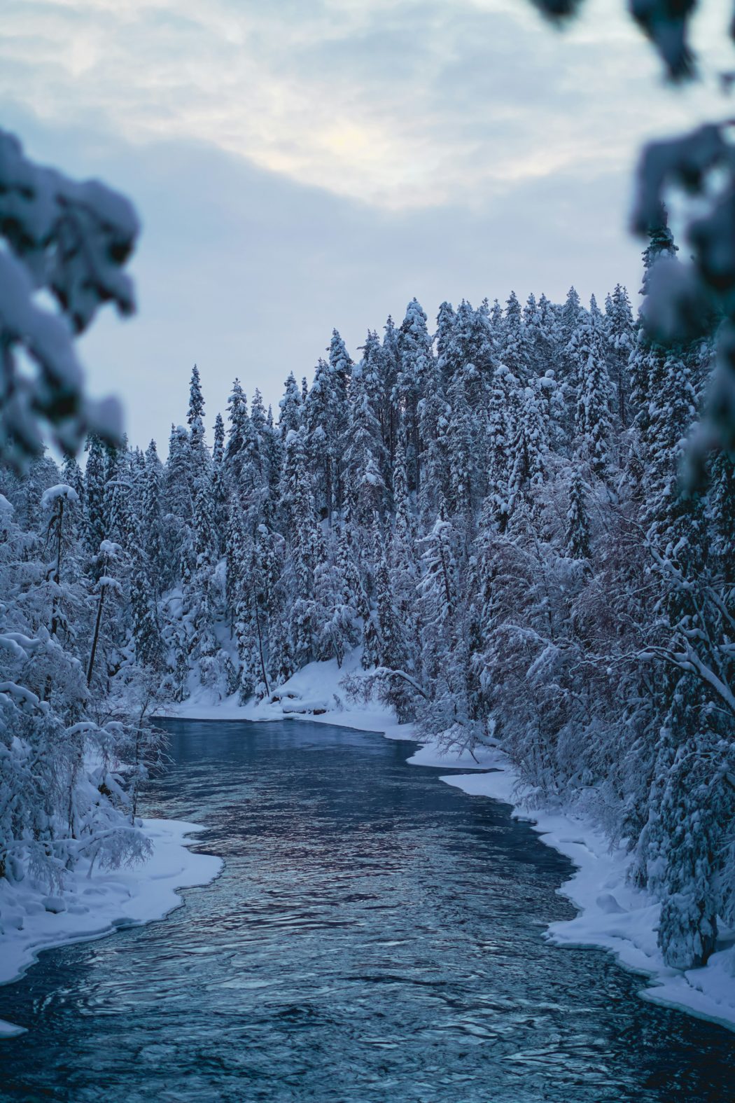 illia-panasenko-6S5is2ScKwY-unsplash