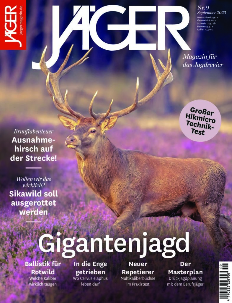 Titel