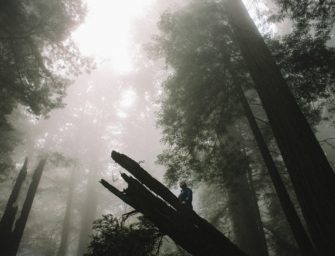 Jäger vermisst: Spürhund sorgt für traurige Gewissheit