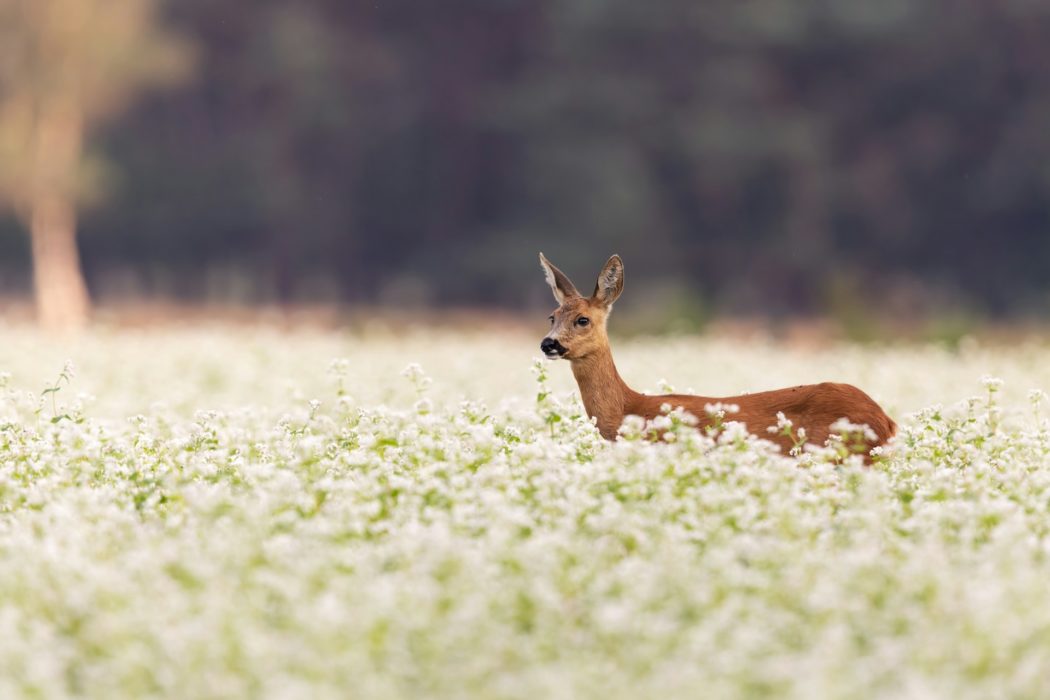 hans-veth-wTQGpne_jkI-unsplash