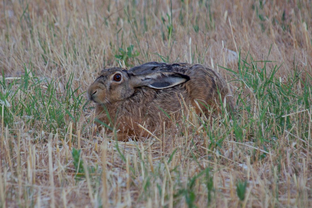 mario-beducci-dDq8FZLtHAM-unsplash