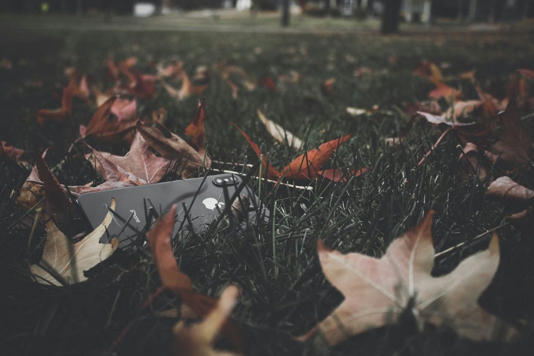 saketh-O_3eN_7w7JQ-unsplash