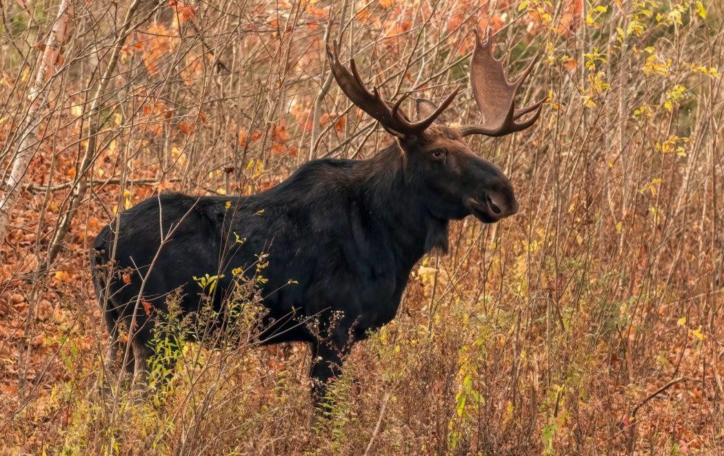 camerauthor-photos-Rk6oOYLYaXI-unsplash-2