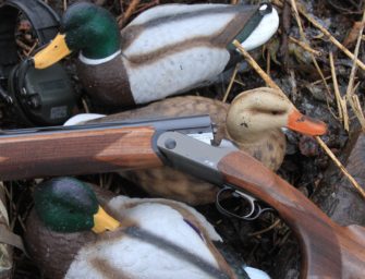 Entenjagd: Tipps und Tricks für die Jagd auf die Breitschnäbel