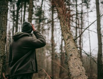 Jäger verurteilt: Polizei findet geladenes Gewehr auf Beifahrersitz