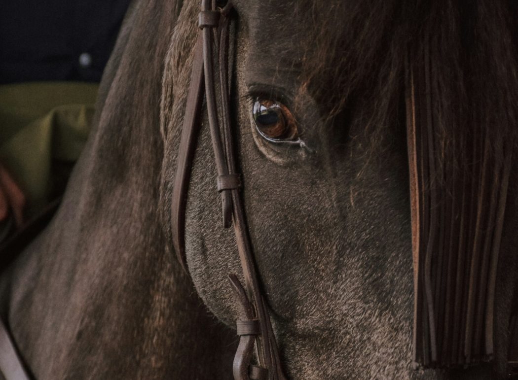 daniel-bonilla-MVZlkv_G4zQ-unsplash