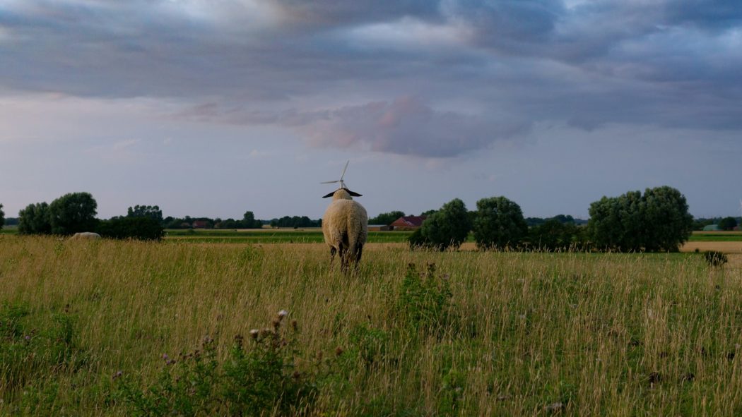 gritte-r6FTSmtgiSA-unsplash