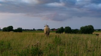 Ostfriesland: Paar erlitt Verletzungen durch Jagdunfall