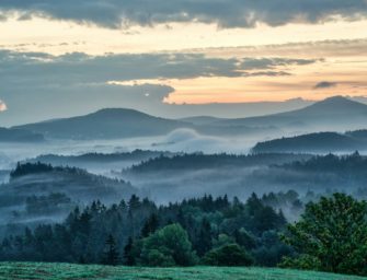 Jäger erschießt Kollegen während Jagd in Tschechien