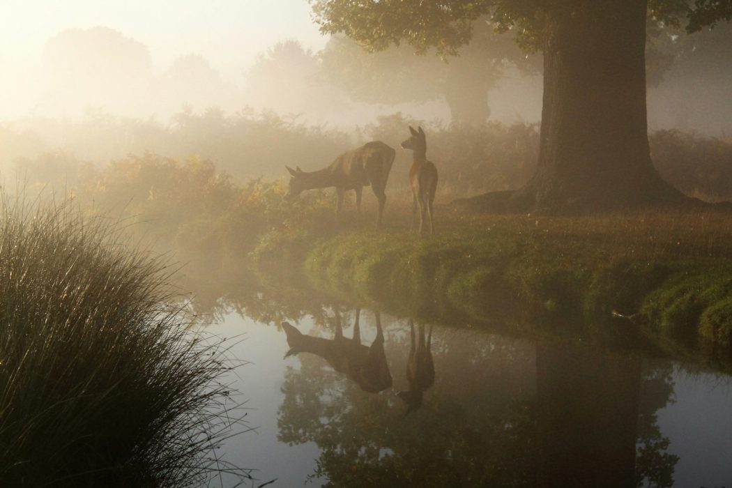 john-royle-NIyqowE5aDE-unsplash