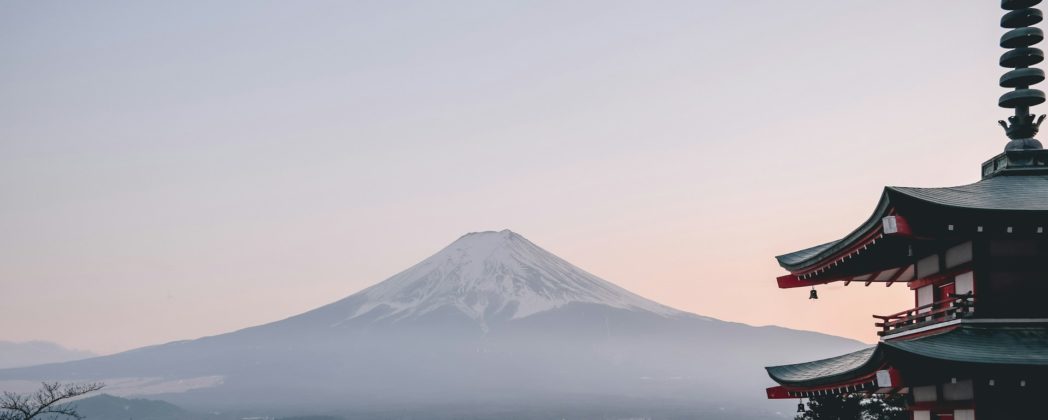 Bär greift in Japan an: Hotelzimmer komplett zerstört