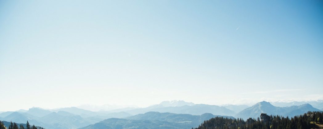 Bayerischer Jagdverband: Personalwechsel in der Kommunikation