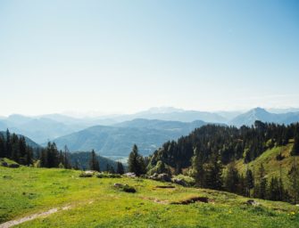 Bayerischer Jagdverband: Personalwechsel in der Kommunikation