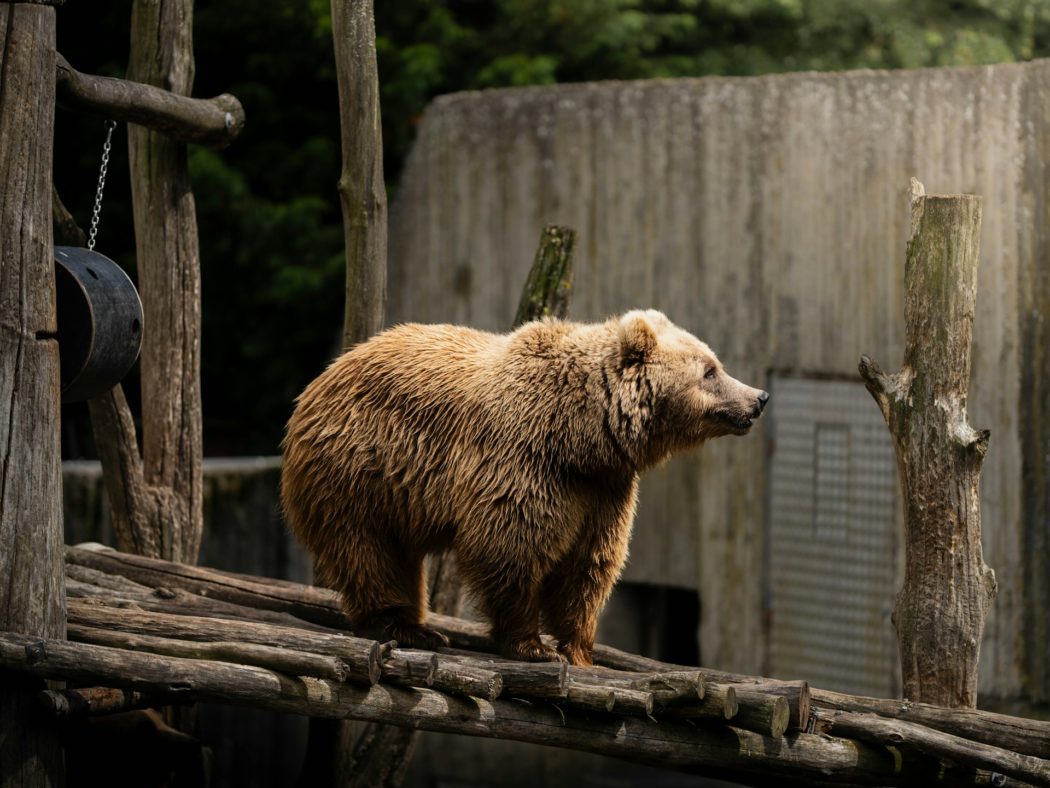 valentin-Z0qnrSLjoSU-unsplash