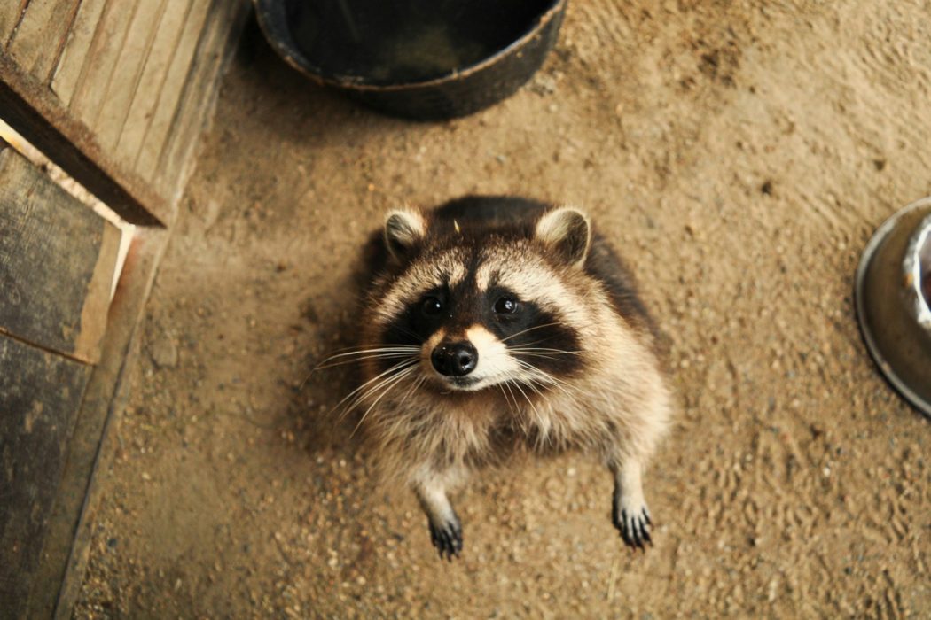 anna-gru-jTLb-Ggb77M-unsplash