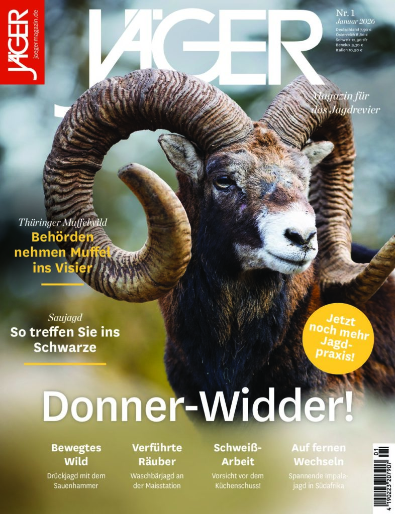 VP_JGR_Cover_Muffel_CS_XX