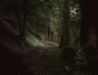 Jagdunfall: Tödlicher Abschuss bei Waffenübergabe