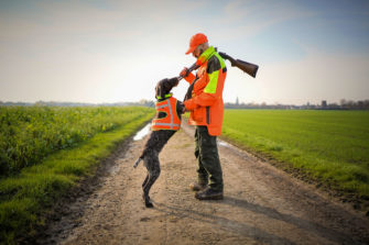 Die größten Fehler bei der Ausbildung zum Jagdhund