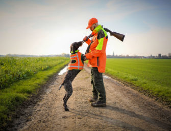 Die größten Fehler bei der Ausbildung zum Jagdhund