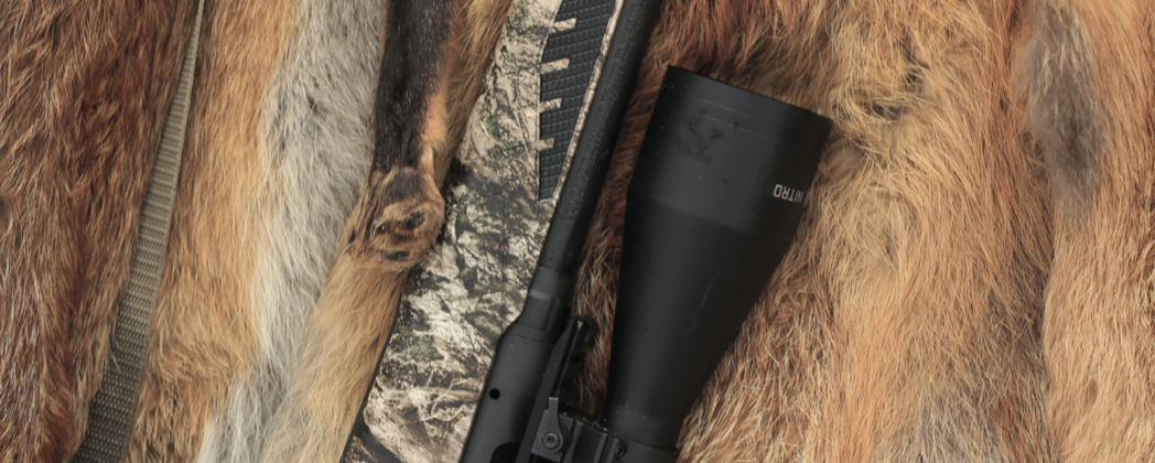 Raubwildbüchse: Welche Waffen für Fuchsjagd und Co.?