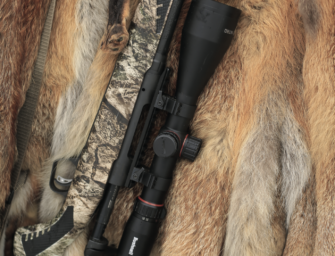 Raubwildbüchse: Welche Waffen für Fuchsjagd und Co.?