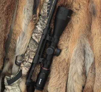 Raubwildbüchse: Welche Waffen für Fuchsjagd und Co.?