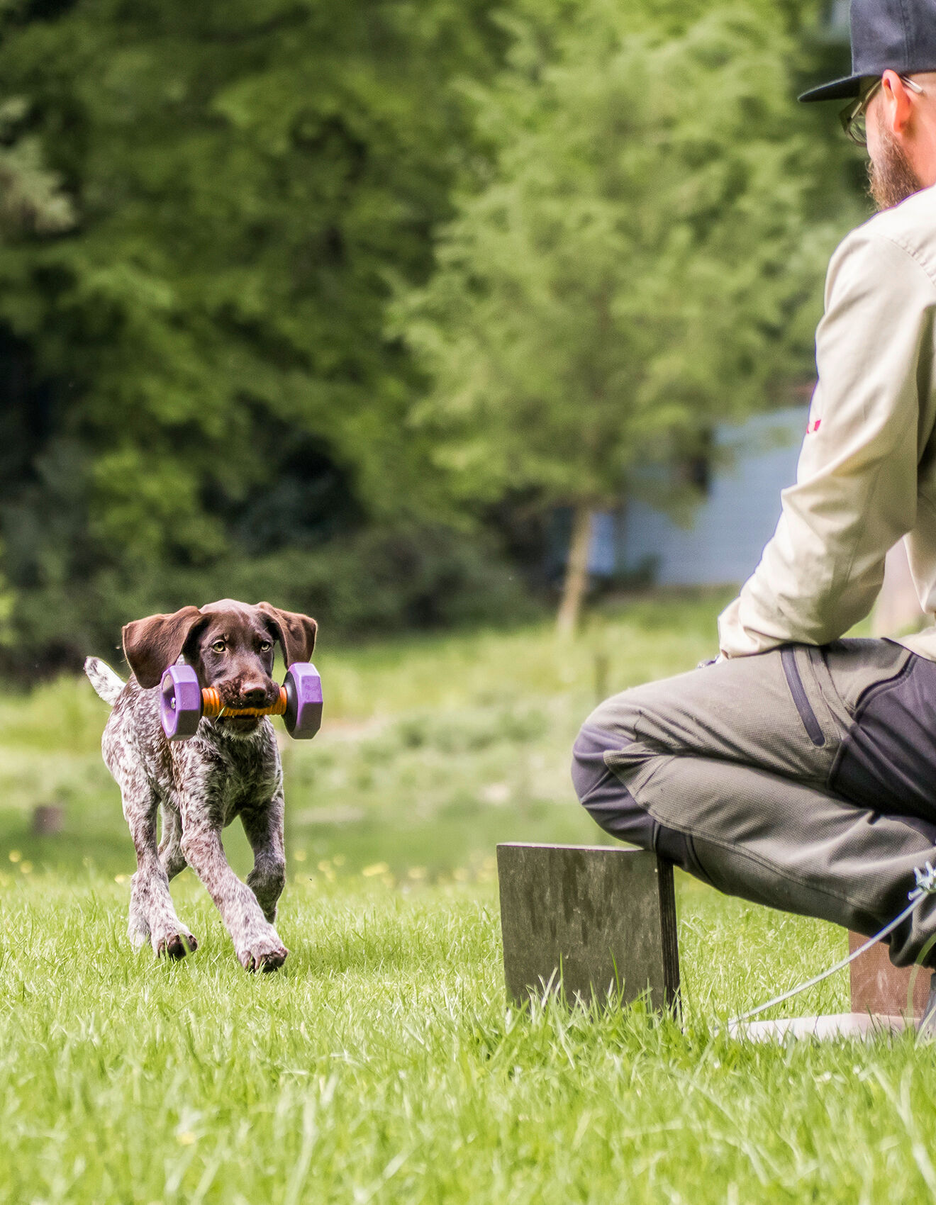 Ausbildung zum Jagdhund