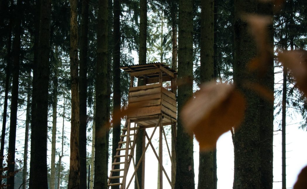 ken-kullik-jK0pNJVCH94-unsplash