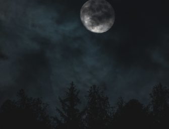 Jagdunfall in Niedersachsen: Frau aus Bassum schwer verletzt