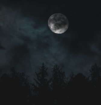 Jagdunfall in Niedersachsen: Frau aus Bassum schwer verletzt