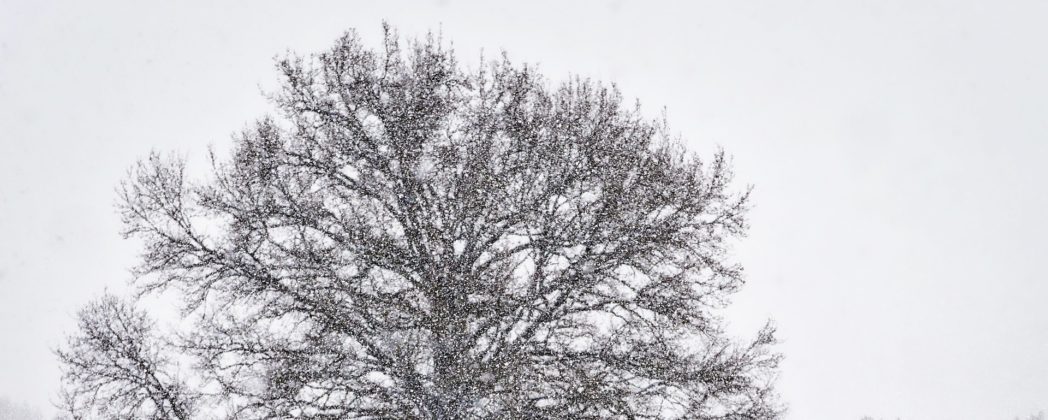 Jagdunfall in Ostwestfalen: 22-Jähriger erschießt Bekannten