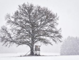 Jagdunfall in Ostwestfalen: 22-Jähriger erschießt Bekannten