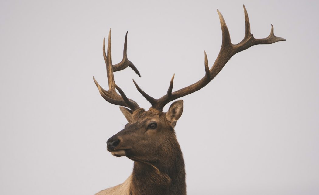 y-s-aJuv14zf-ZY-unsplash