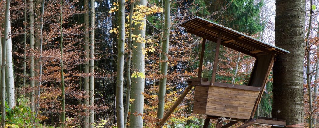 Nach tödlichem Sturz von Hochsitz: Jagdpächter haftet nicht