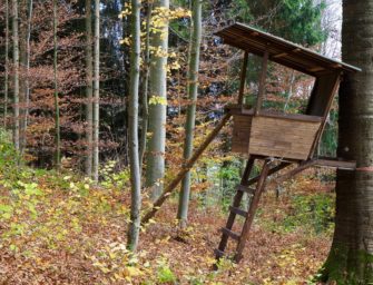 Nach tödlichem Sturz von Hochsitz: Jagdpächter haftet nicht