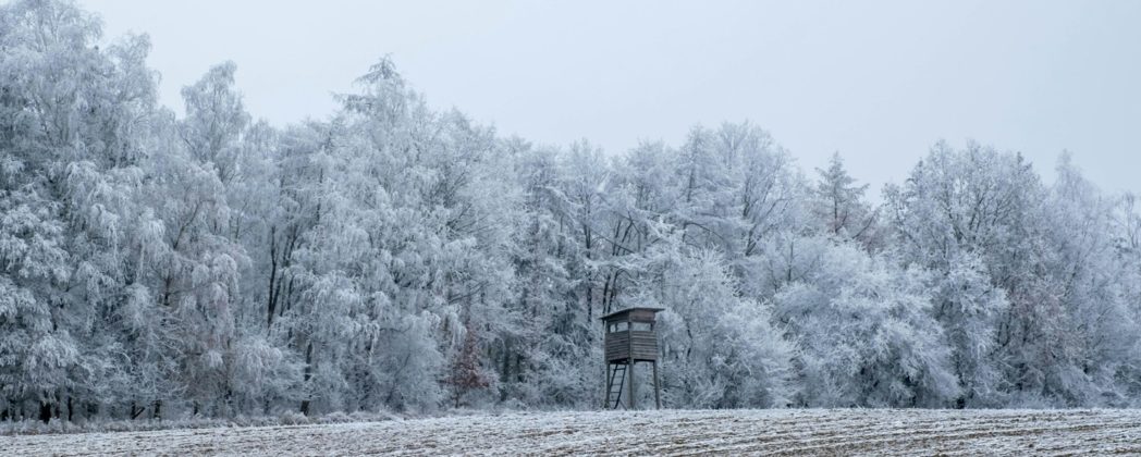 Brandstifter zerstören Hochsitz? Polizei ermittelt