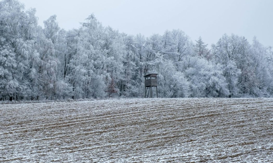 krzysztof-plocha-0MNDl9p7VSM-unsplash