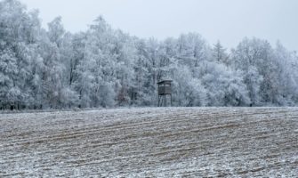 Brandstifter zerstören Hochsitz? Polizei ermittelt