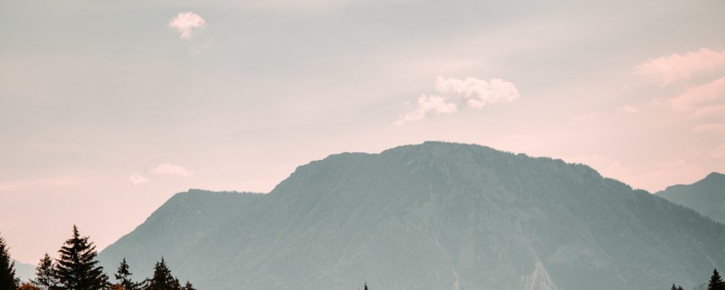 BJV warnt vor Bürokratie und Veränderung der Jagdzeit in neuem Jagdgesetz