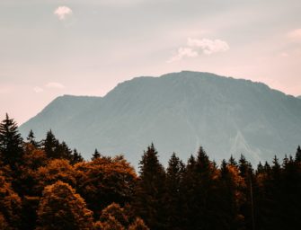 BJV warnt vor Bürokratie und Veränderung der Jagdzeit in neuem Jagdgesetz