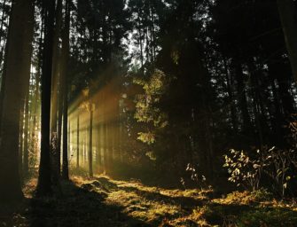 OUTDOOR jagd & natur 2026 – Auftakt in die Jagd- und Outdoor-Saison in Neumünster